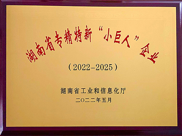 專精特新"小巨人"企業(yè)